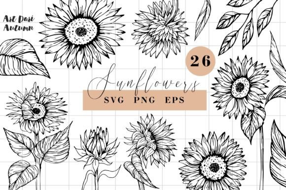 Download Sunflower SVG Line Art Illustrations - Line art illustrations Collection