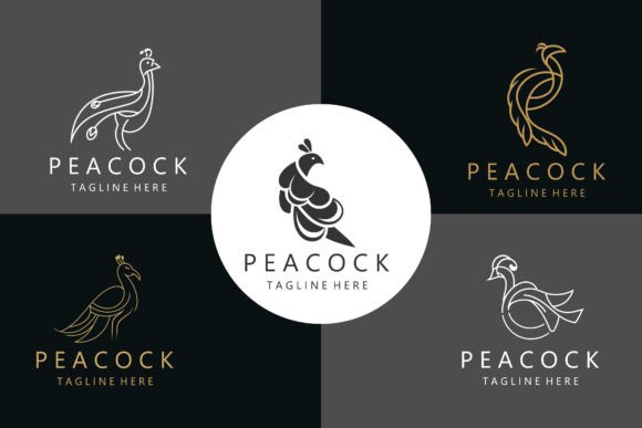 Download Peacock Logo with Line Art Concept - Logo Collection