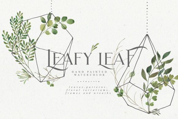 Download Leafy Leaf Collection - Collection Collection