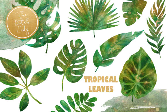 Download Tropical Jungle Leaves Clipart Set - Clipart set Collection